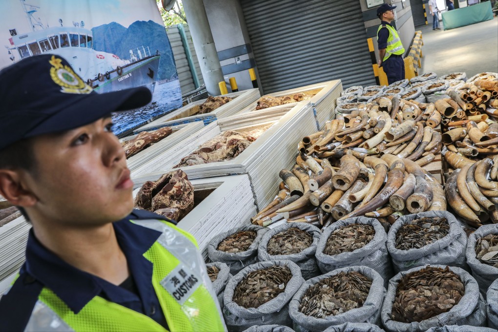 Parts of endangered animals seized by Hong Kong’s Customs and Excise Department on display at the Kwai Chung Customs Headquarters on September 5, 2018. Photo: K.Y. Cheng