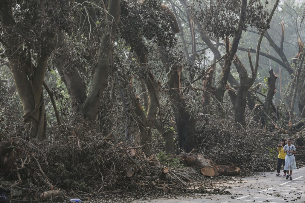 Students walk past damaged trees in Sheung Shui after Typhoon Mangkhut hit Hong Kong on September 16, 2018. Extreme weather events are one of the consequences of climate change. Photo: Sam Tsang