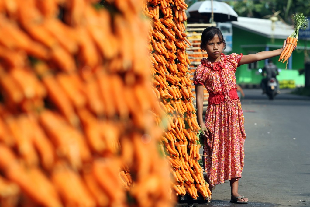 A young vendor holds a bunch of carrots for sale on a street in Cisarua Bogor, Indonesia, on September 24, 2012. Photo: EPA-EFE