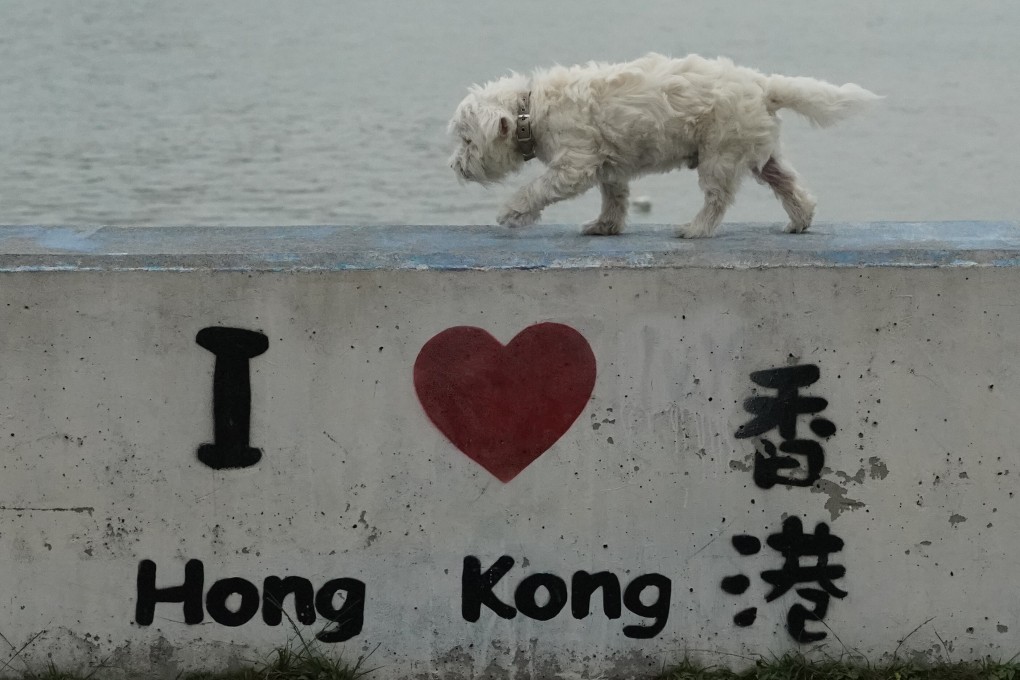Graffiti in Hong Kong’s Tung Chung Waterfront says it like it is on February 27. Photo: Felix Wong