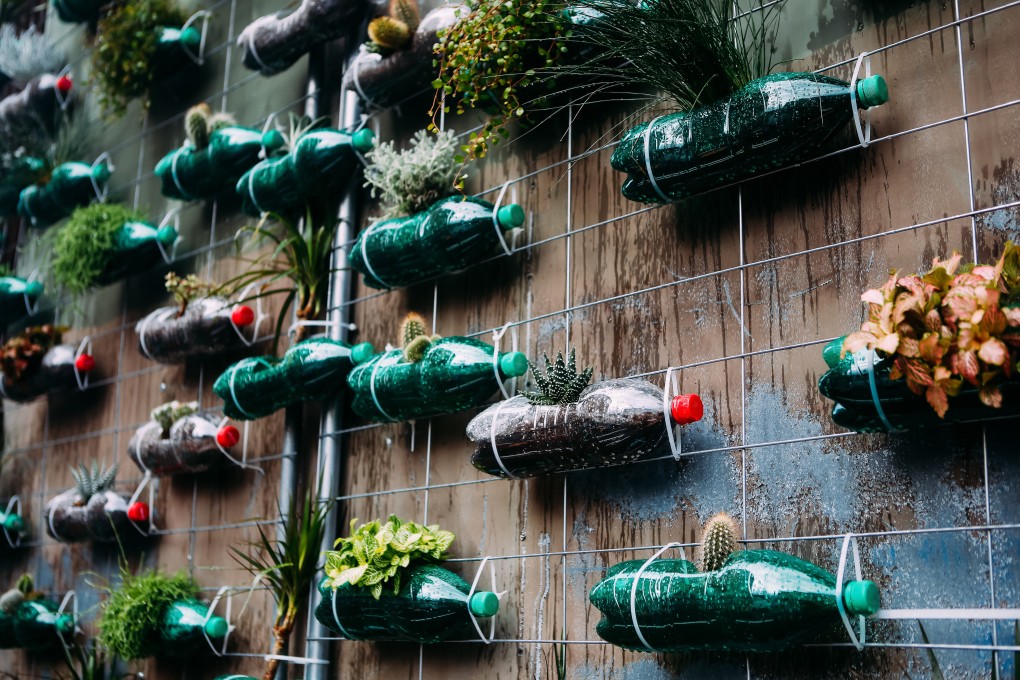 Plastic bottles repurposed as planters. Photo: Shutterstock