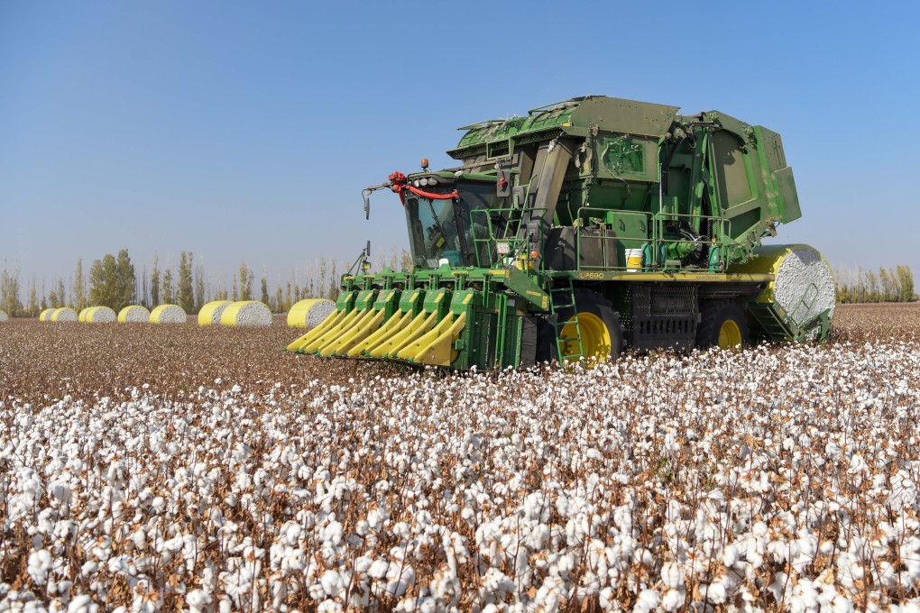 Xinjiang is China’s biggest producer of cotton. Photo: XInhua
