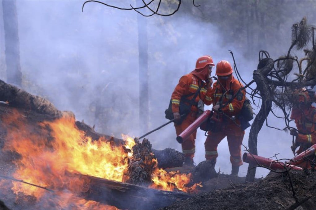 Fire fighters put out a forest fire in Liangshan prefecture, Sichuan province in China on March 31, 2020. Photo: Xinhua