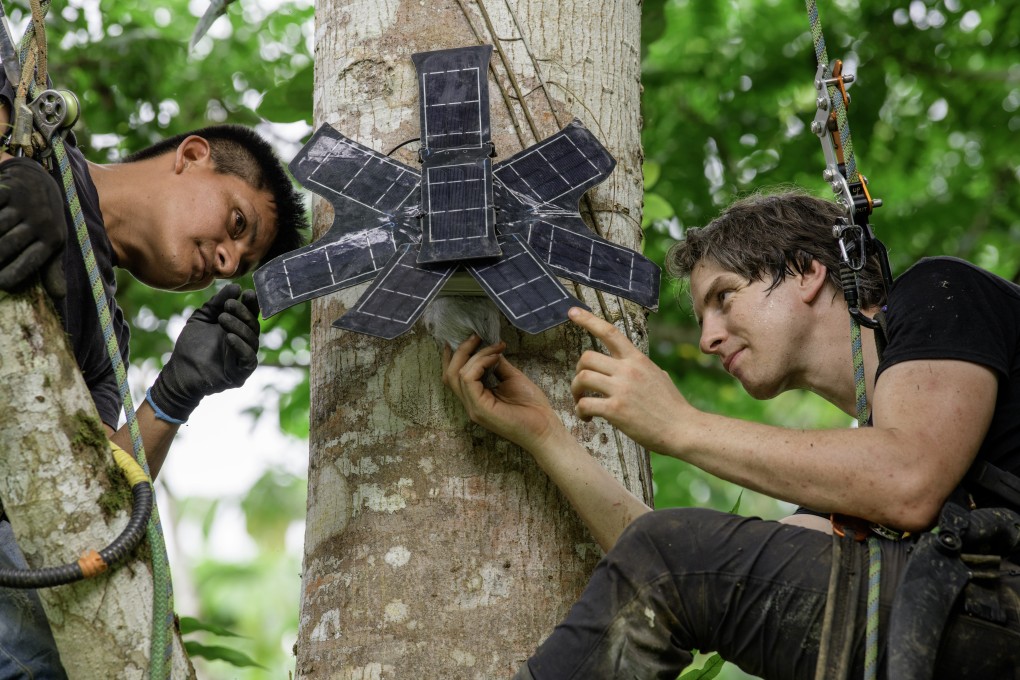 Topher White and ranger José Manuel Anapa put a Forest Guardian in place in the Canandé Reserve. Photo: Rolex / Stefan Walter