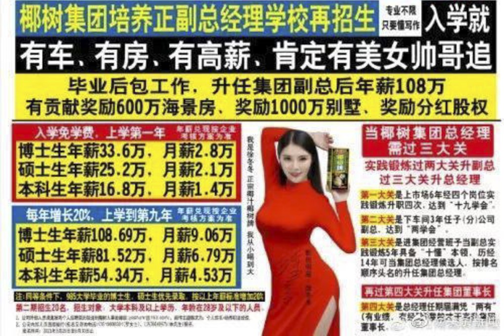An advert by Coconut Palm Group that said that people will receive cars, houses, high incomes once they become management trainees is under investigation. Photo: Handout