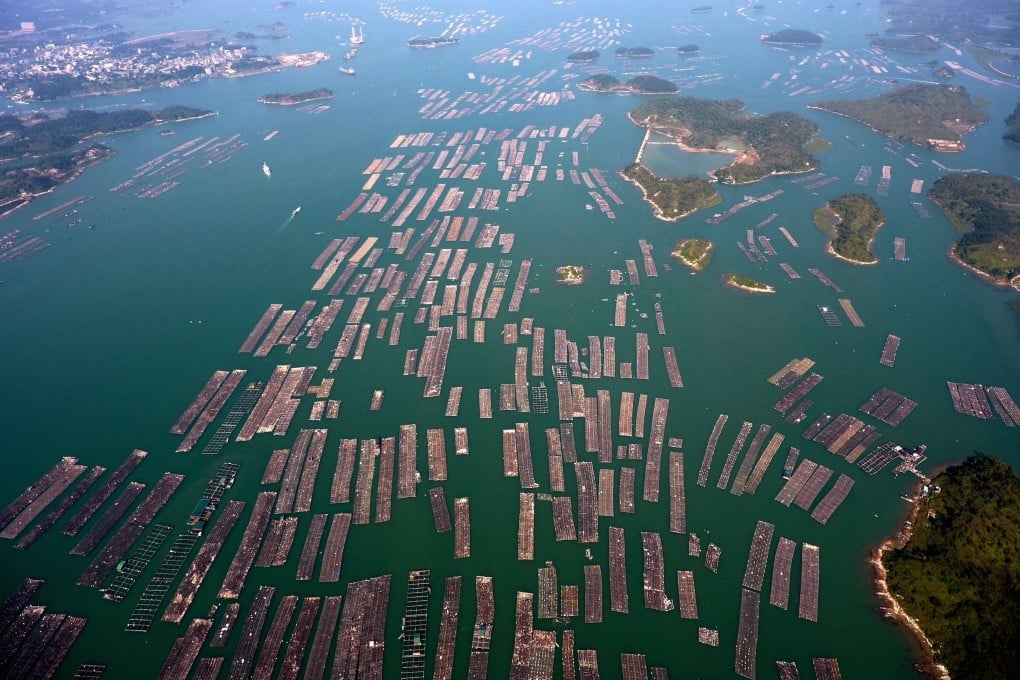 Floating rafts for oyster cultivation off the coast of Guangxi. Photo: Xinhua