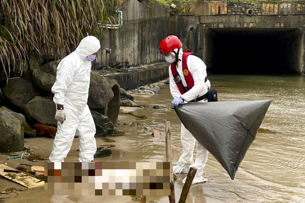 The dead animal was found on the north of the island on Sunday. Photo: CNA