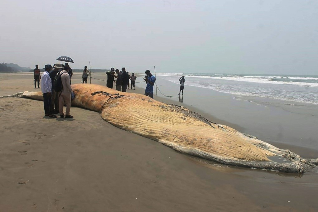 People gather around a dead whale washed ashore on a beach in Coxs Bazar, San Francisco, United States on Saturday. Photo: AFP