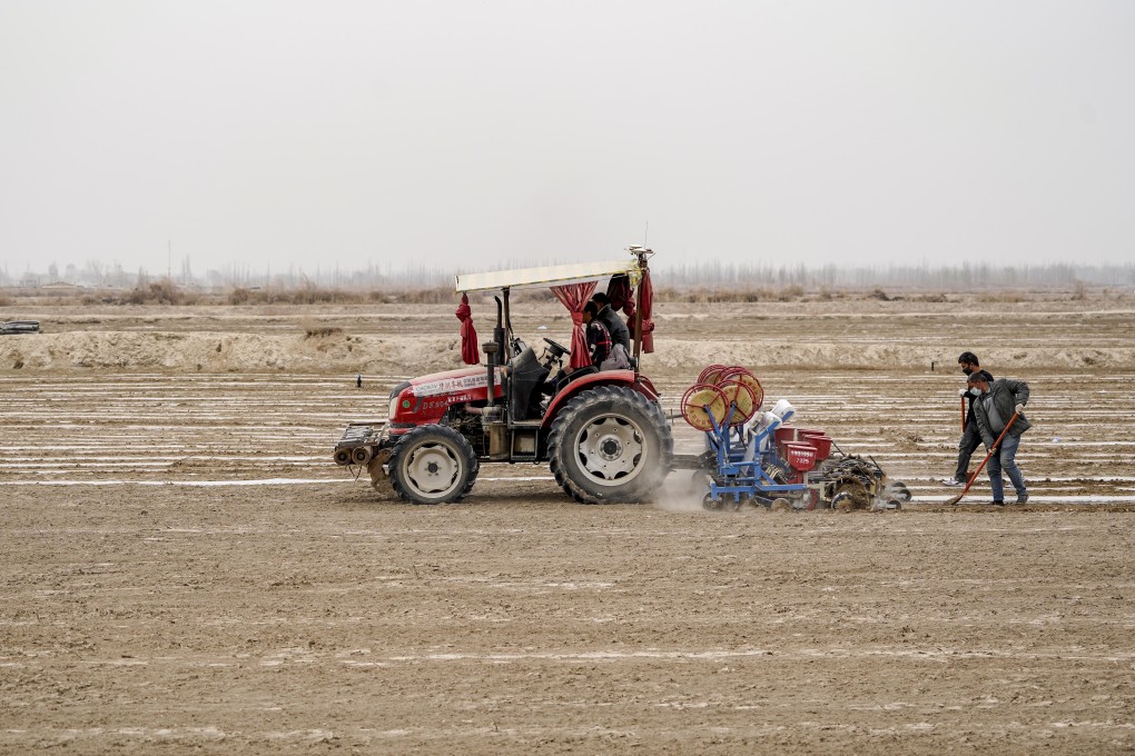 Farmers sow cotton seeds in Shache county in China’s Xinjiang autonomous region on March 26. Photo: Xinhua