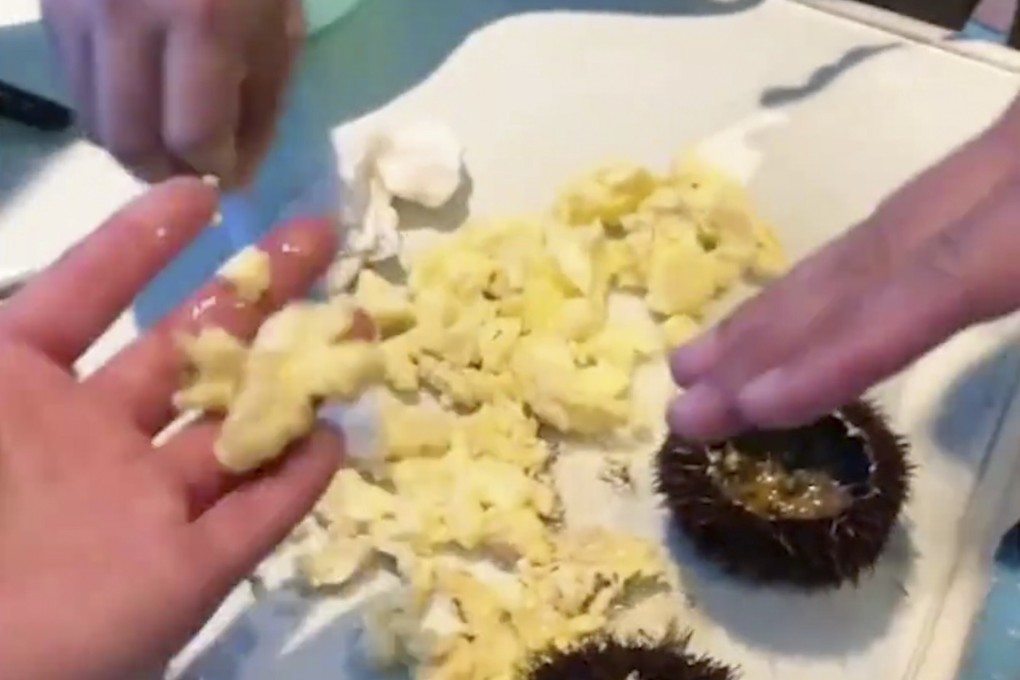 A consumer dispute over a dish of sea urchin eggs has led to heated debate online after the customer posted a video showing the dish. Photo: Baidu