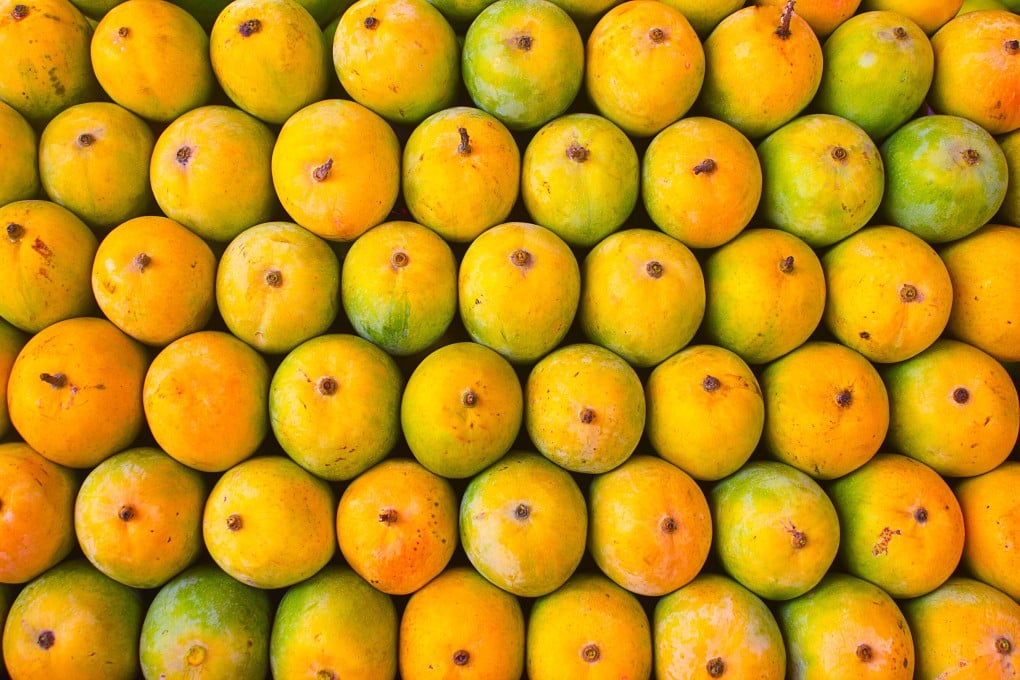 India has had a love affair with mangoes for thousands of years. More than 1,500 varieties are cultivated in the country, and everyone has their personal favourite. Photo: Shutterstock