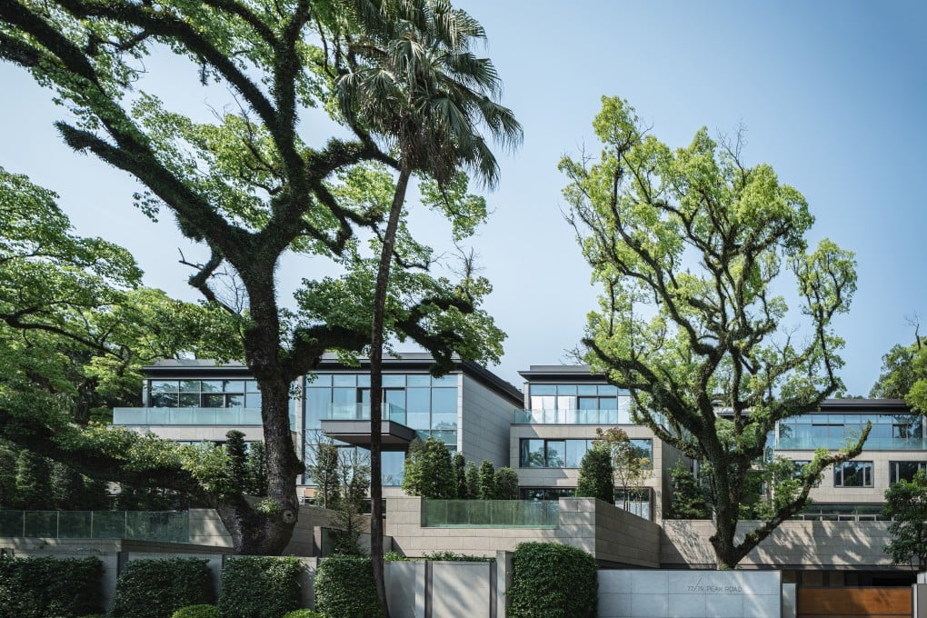 Alex Fang, the co-founder of private equity firm eGarden Ventures, paid HK$90,000 per square foot for the 6,676 sq ft property at 77B Peak Road, sources say. Photo: Handout