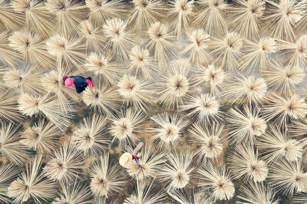 Villagers dry bamboo products in bunches for making chopsticks in Jiangxi province, China, in October 2019. Photo: Reuters