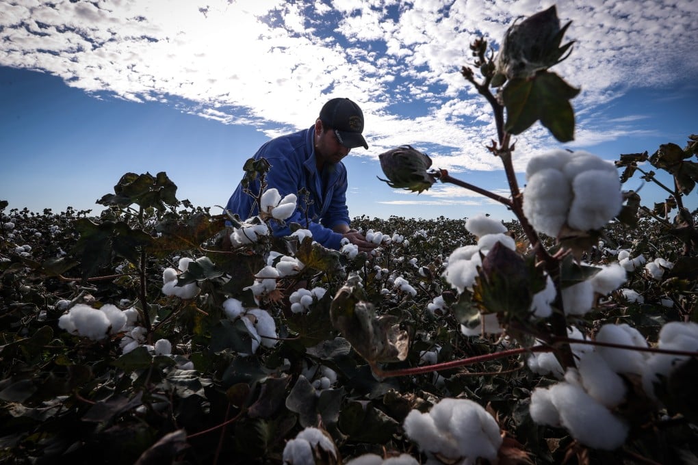 A withhold release order issued by US customs authorities effectively banned cotton products from Xinjiang should the importer be unable to prove that they were made without using forced labour. Photo: Bloomberg