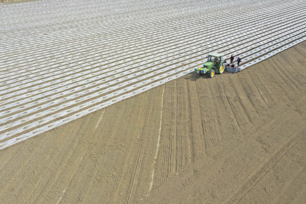 Farmers cover field with plastic films in Yuli County, Xinjiang, on March 28, 2021. Photo: Xinhua