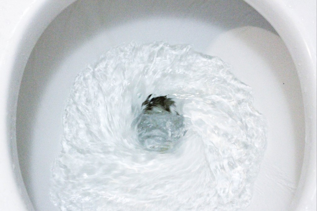 Flushing our waste down a toilet is inefficient and a poor use of scarce clean water, writes Chelsea Wald in Pipe Dreams, her deep dive into the ills and possibilities of sanitation. Photo: Shutterstock