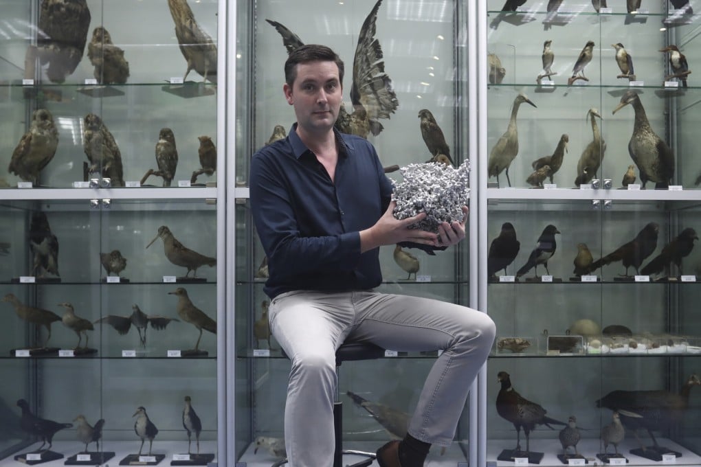 The Hong Kong Biodiversity Museum is the city’s first dedicated to wildlife, says its director, Benoit Guénard. Photo: Jonathan Wong