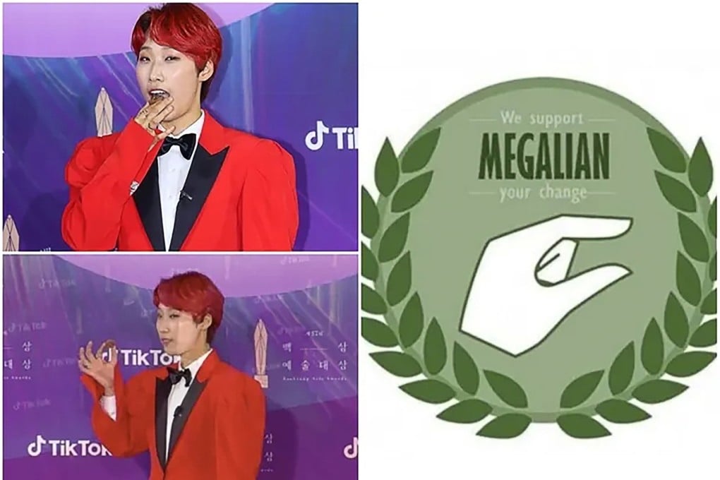 South Korean star Jaejae on the red carpet and the radical feminist logo meaning ‘small penis’. Photo: Weibo