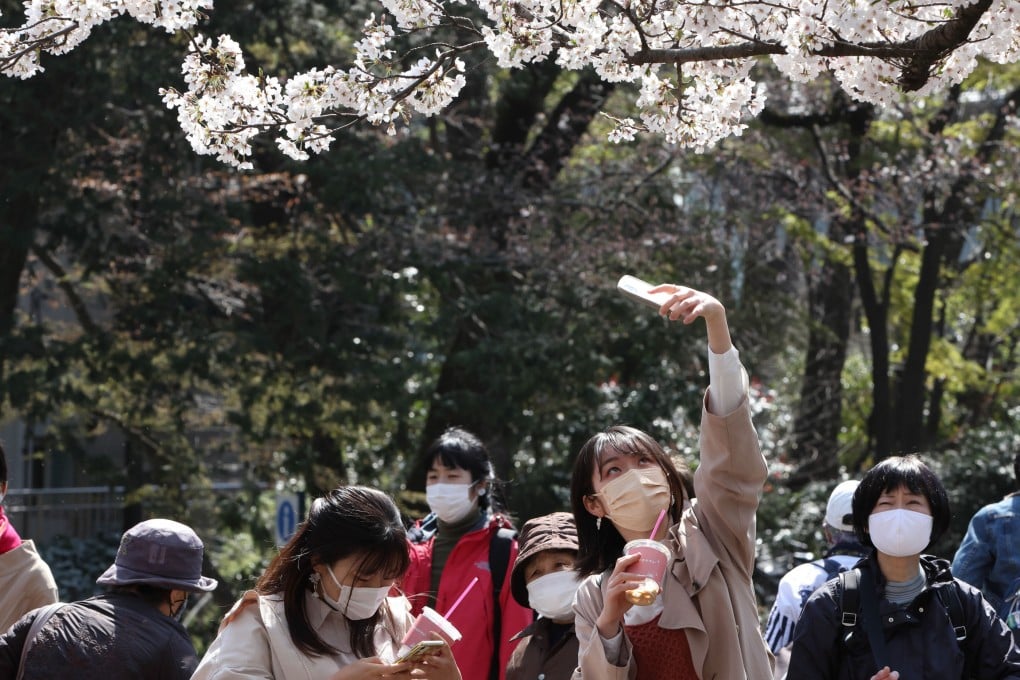 A woman takes a photo of cherry blossoms inside Inokashira Park, in western Tokyo, Japan, on March 26. Experts predict Asia-Pacific destinations will play a big part in travel for Chinese and East Asian tourists immediately after Covid-19. Photo: Getty Images