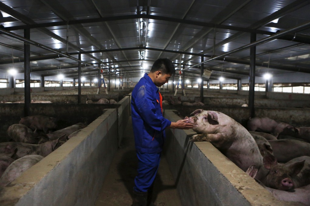 Pork prices in China have fallen more than 50 per cent since mid-January amid sluggish demand and panic selling due to new African swine fever outbreaks. Photo: Xinhua