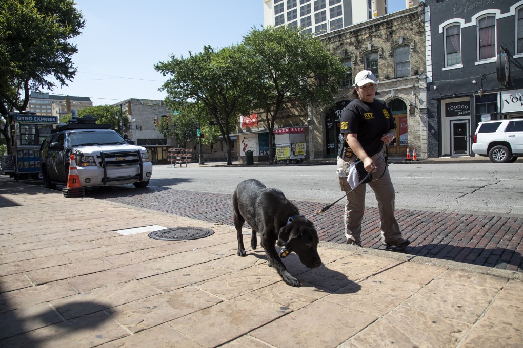 A Bureau of Alcohol, Tobacco, Firearms and Explosives (ATF) team member uses a K-9 sniffer dog to search for gun power residue after a shooting in downtown Austin, Texas on Saturday. Photo: Austin American-Statesman via AP