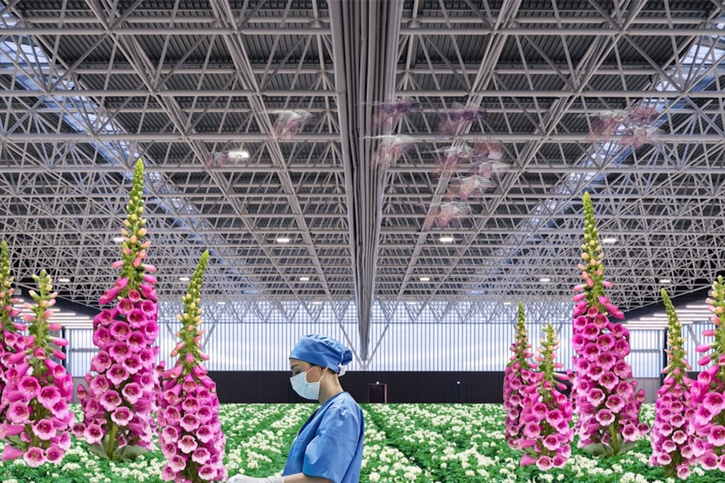 OMA’s grand plan for a new hospital prototype in Qatar would include a farm for food and drug production.