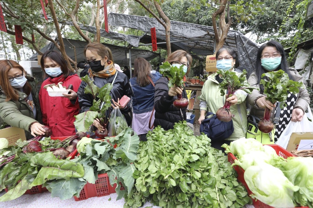 Shoppers buying locally grown vegetables at Mapopo Community Farm in Ma Shi Po village in Fanling on February 9, 2020. Photo: Dickson Lee