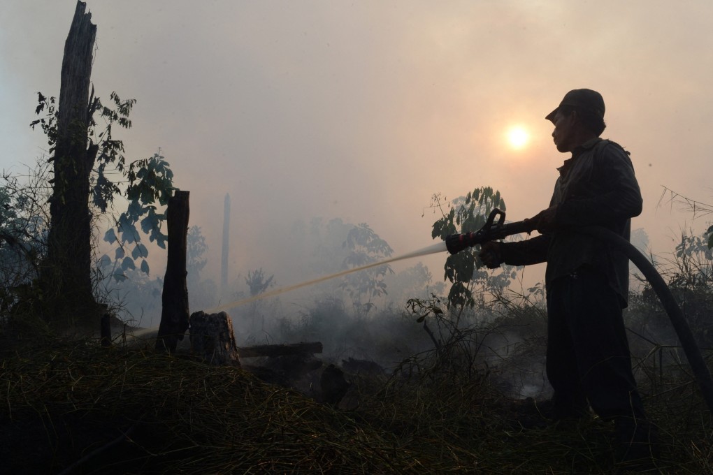 An Indonesian worker from a palm oil concession company extinguishes a forest fire in Sumatra, Indonesia. Illegal land clearing for palm oil plantations is common, causing smog and habitat loss for endangered wildlife. Photo: AFP