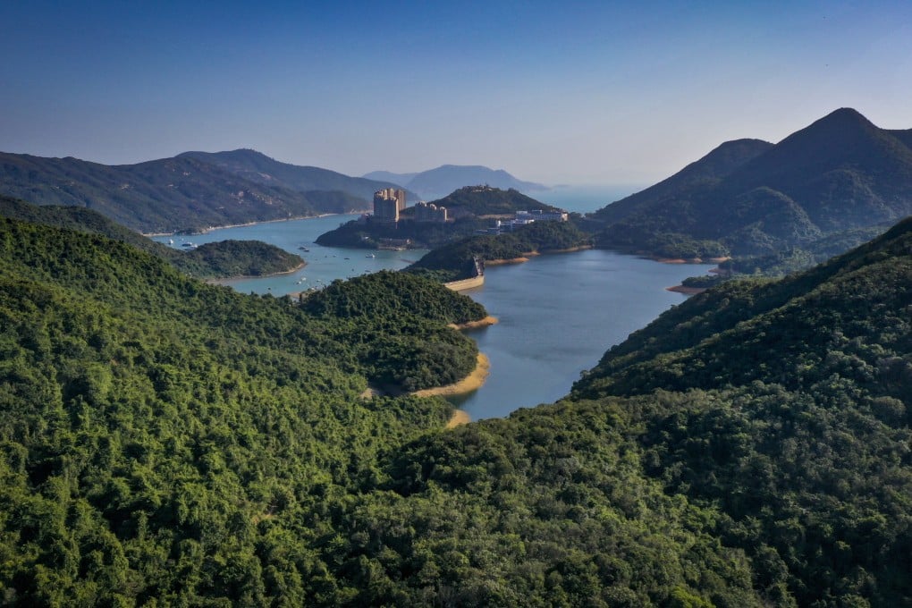Tai Tam Reservoir on Hong Kong Island is surrounded by hills covered in forest. Tree cover has expanded a lot since the 1940s, but native tree and plant species have been crowded out by imports, something researchers hope to redress. Photo: James Wendlinger