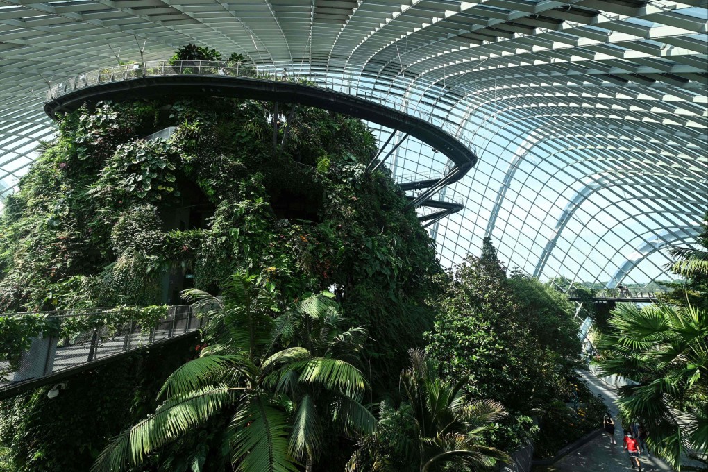 The Cloud Forest at Gardens by the Bay in Singapore, one of the project’s vast glass greenhouses that showcase exotic plants from across the world. Photo: AFP