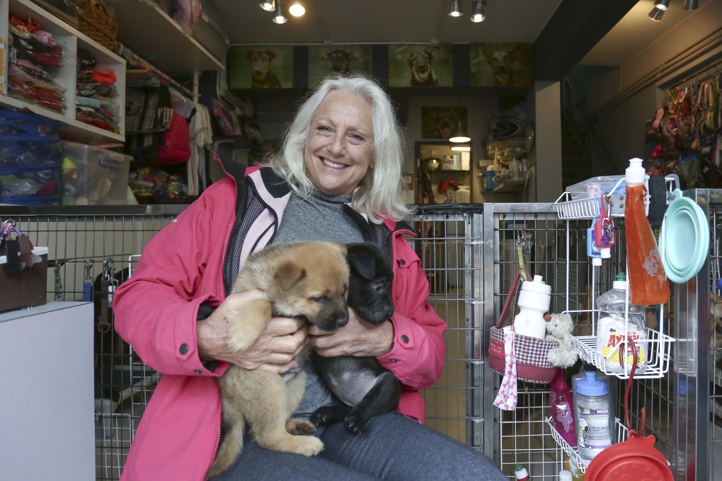 Sally Andersen, founder of Hong Kong Dog Rescue. Photo: Jonathan Wong