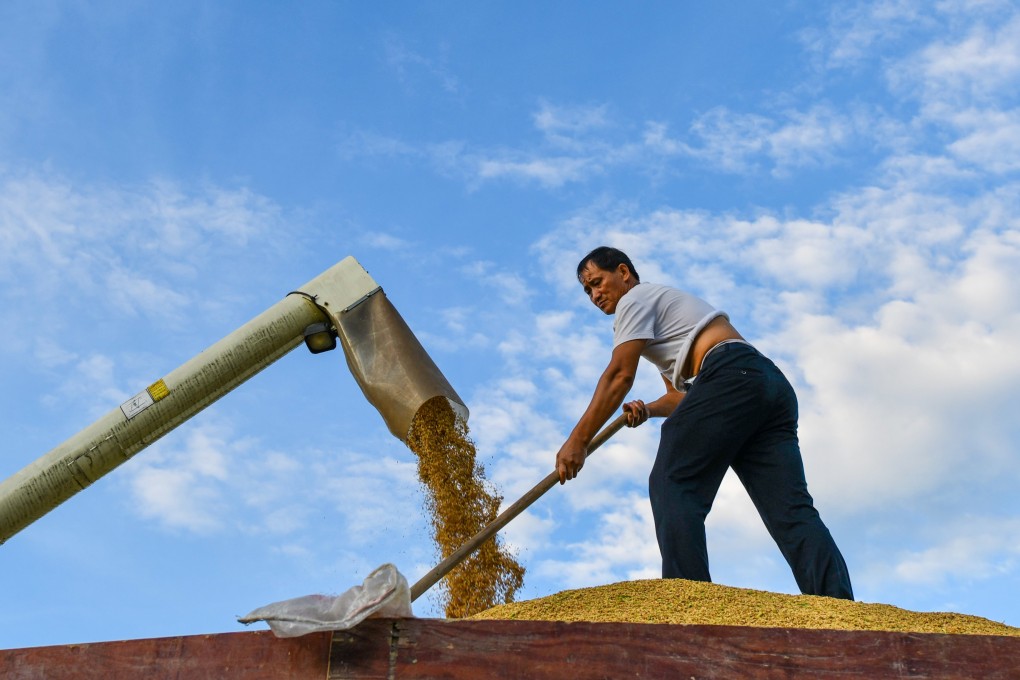 A farmer loads rice onto a carrier in Shanshu village in central China’s Hunan province on August 29. More needs to be done to improve rural livelihoods. Photo: Xinhua