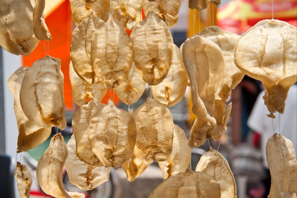 Fish swim bladders are said to be loaded with collagen. Photo: Getty Images