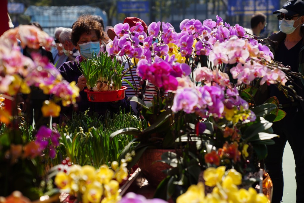 People shop for plants at the Lunar New Year Fair in Victoria Park, Causeway Bay, on February 7. Photo: Sam Tsang