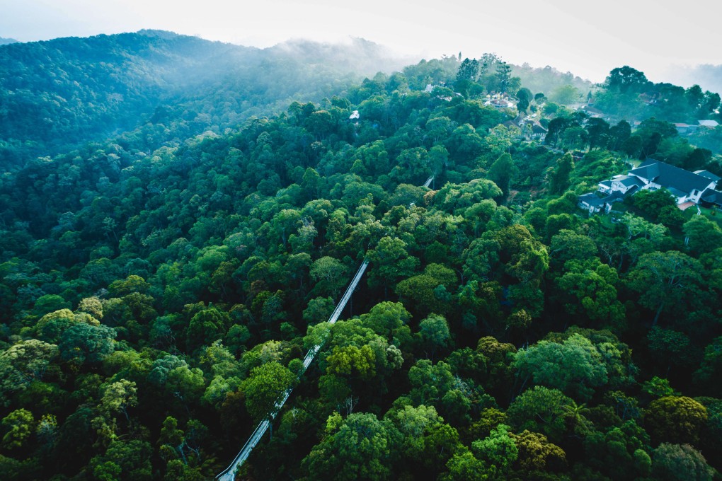 Malaysia’s latest Unesco biosphere reserve, Penang Hill, with its million-year-old rainforest and marine and coastal ecosystems, offers visitors another side to the island.