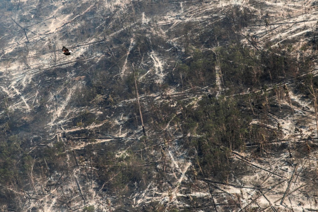 A hawk flies over a tract of burnt Amazon jungle near Porto Velho, Rondonia, Brazil in August 2020. The financial burden of conserving the  forests of Indonesia, Central Africa and the Amazon should not be placed on their populations who are most vulnerable to climate change. Photo: Reuters