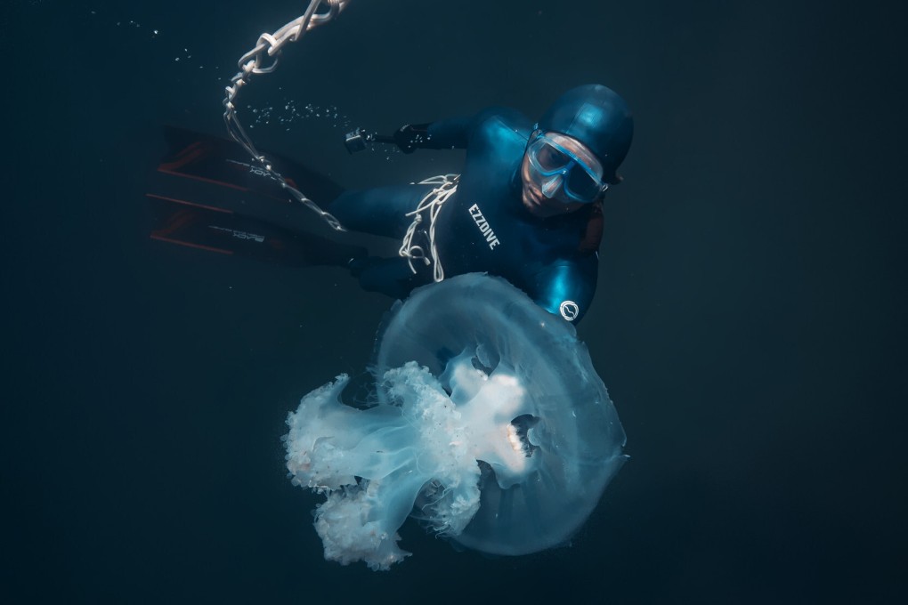Why freediving is such a thrill – ‘You’re basically like a fish 