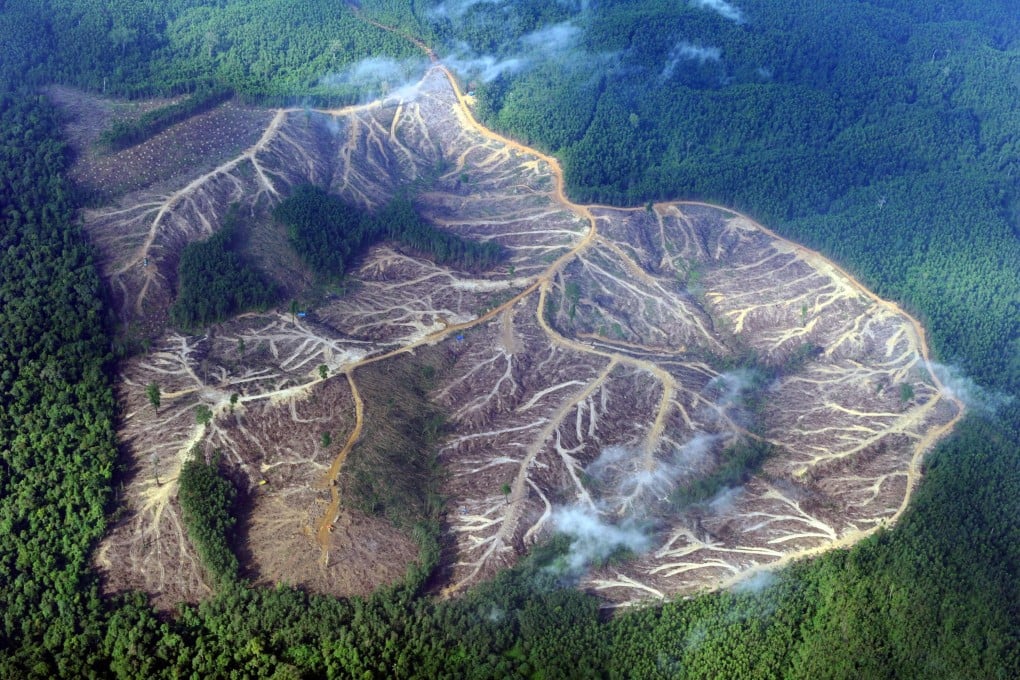 A deforested area of Indonesia’s Sumatra island is seen in 2010 from a Greenpeace aerial survey. Photo: AFP