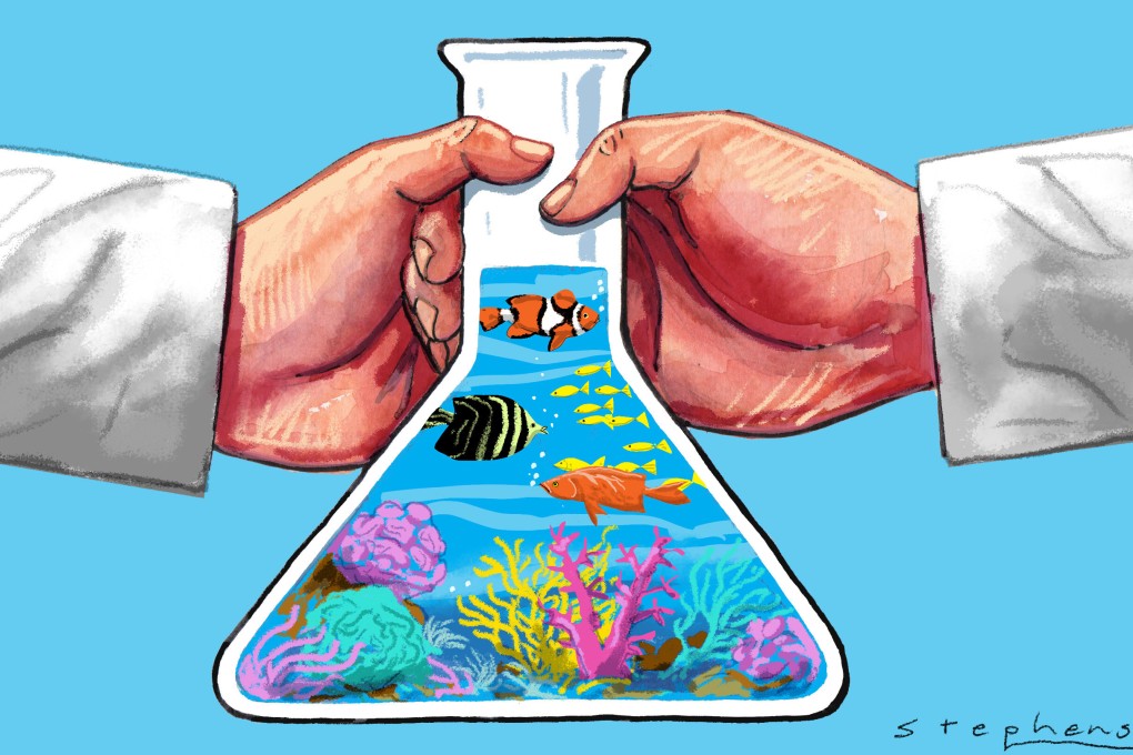 Illustration: Craig Stephens