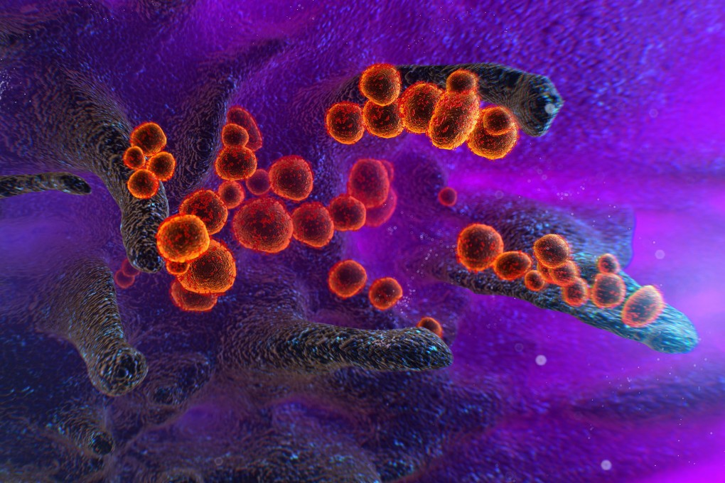 The World Health Organization has tasked the 27 Sago members with recommending the next steps for studies into the emergence of the new coronavirus. Photo: Shutterstock