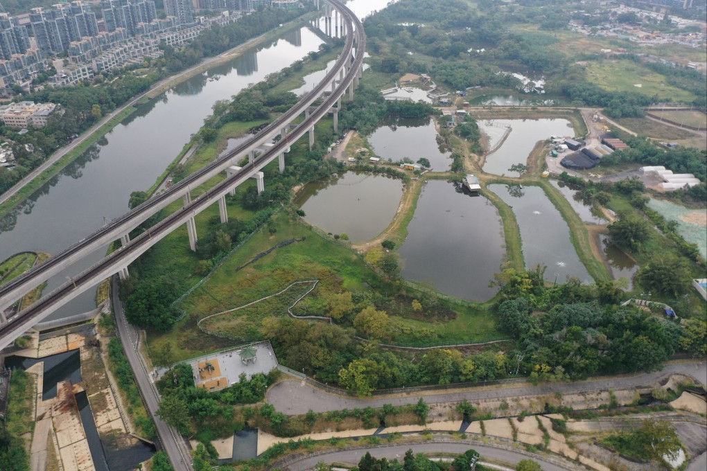 A local green group has called on the government to rethink its wetland conservation strategy for the construction of the Northern Link rail line. Photo: May Tse