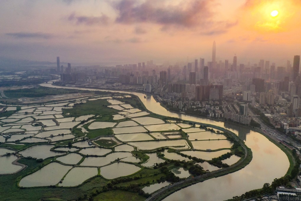 Henderson Land has said it will not resist government efforts to establish a new wetland conservation belt as part of its Northern Metropolis blueprint. Photo: Martin Chan