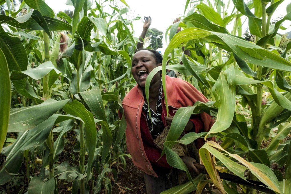A farmer screams to chase away desert locusts in a maize field in Meru, Kenya on February 8. A hotter climate has been linked to more damaging locust swarms. Photo: AFP