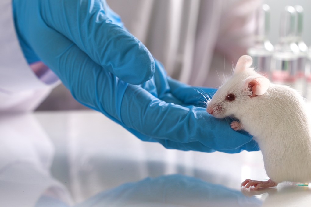 Laboratory-related case threatens to undo Taiwan’s hard-won success in stamping out Covid-19 outbreaks. Photo: Shutterstock