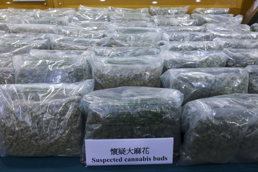 Hong Kong customs has confiscated HK$33 million worth of cannabis buds in a recent crackdown on party drugs. Photo: Dickson Lee