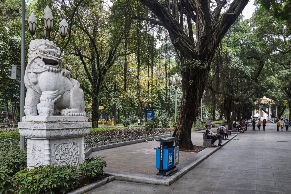 Banyan trees line a park in Guangzhou, southern China, before their mass destruction in an urban renewal project. Photo: Shutterstock