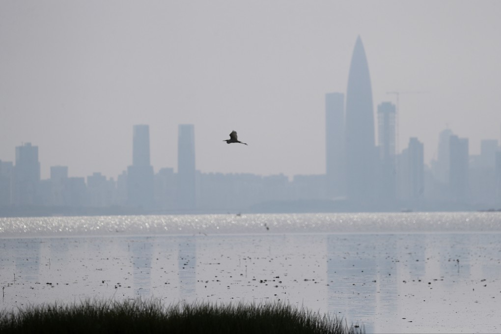 The Mai Po Nature Reserve, with the mainland Chinese city of Shenzhen in the background. Photo: Winson Wong