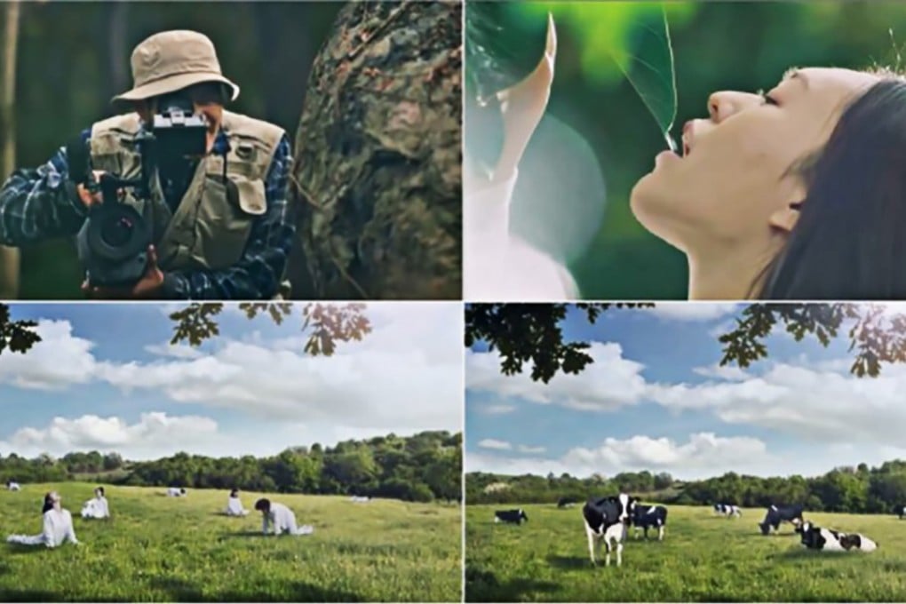 Scenes from the offending video. Photo: Facebook