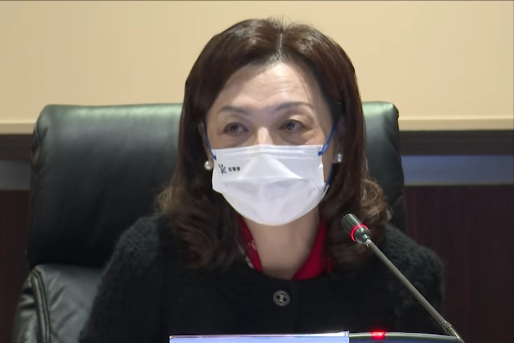 Priscilla Wong has been appointed the new head of the University of Hong Kong’s governing council for three years. Photo: RTHK