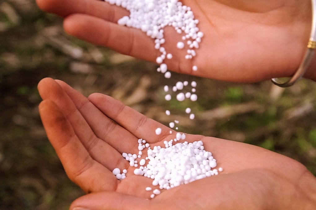 A handful of urea pellets of the type commonly used as fertiliser. Photo: Nutrien Handout via Reuters